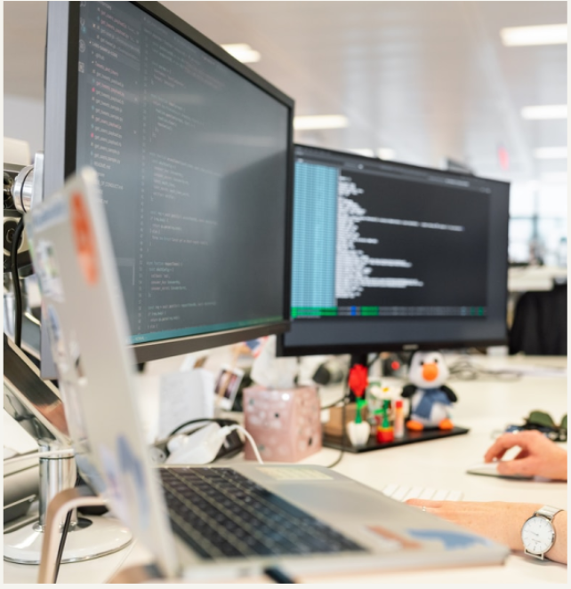 web development services